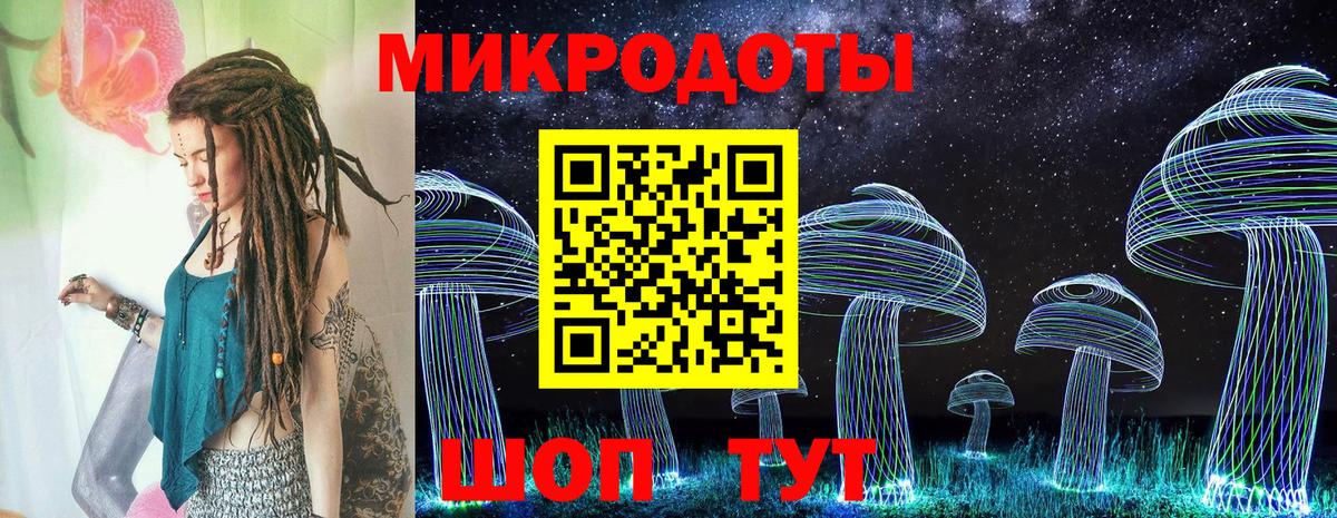 Верхняя Пышма  Галлюциногенные грибы Psilocybe  Вход с VPN 